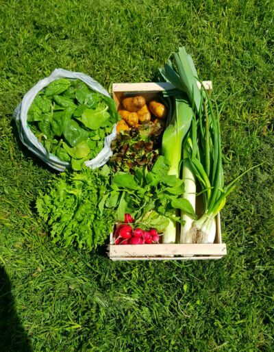 Le petit panier de légumes BIO
