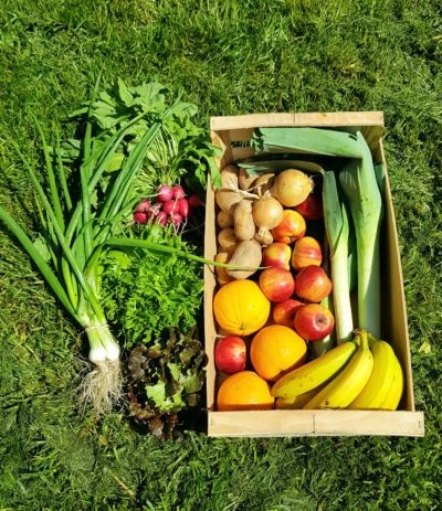 Le moyen panier de fruits et légumes BIO