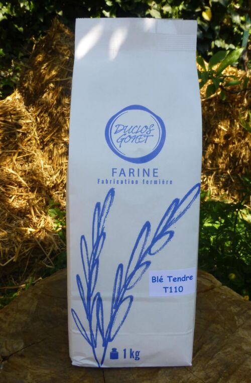 Farines de blé T110 BIO Variétés Anciennes
