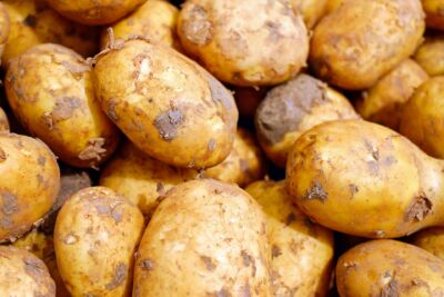 Pomme de terre