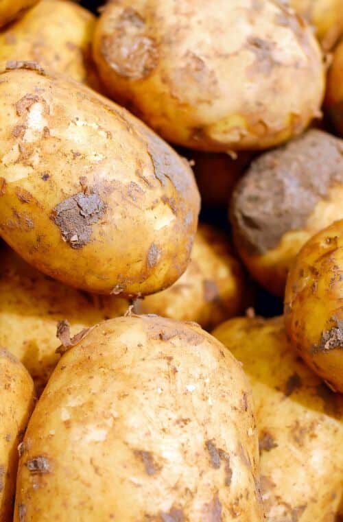 Pomme de terre