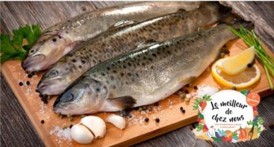 -  TRUITES  -  Ferme Piscicole de Laval