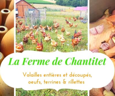 -  Poulets  -   Ferme de Chantitet