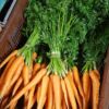 Carottes nouvelles - la botte – Image 6