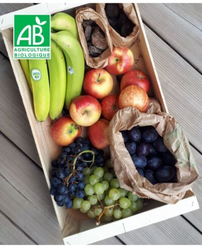 Le panier de fruits BIO