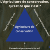 Farines Mais BIO Grand Roux Basque – Image 5