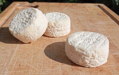 LE CROTTIN de CHÈVRE