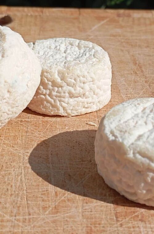 LE CROTTIN de CHÈVRE
