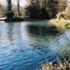 - Soupe / velouté de truite - La pisciculture des sources – Image 4