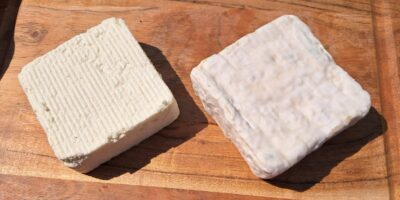 LE PAVÉ de BREBIS