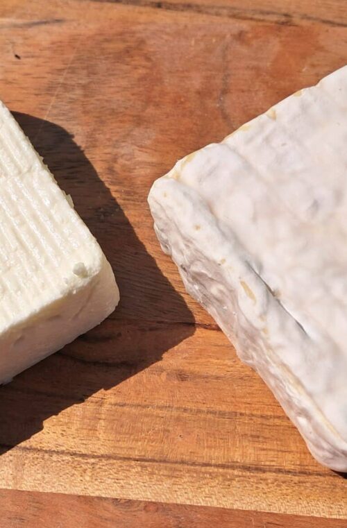 LE PAVÉ de BREBIS