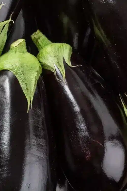 Les aubergines