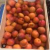Abricots de la Drôme – Image 2