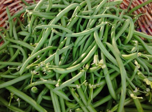 Les haricots verts
