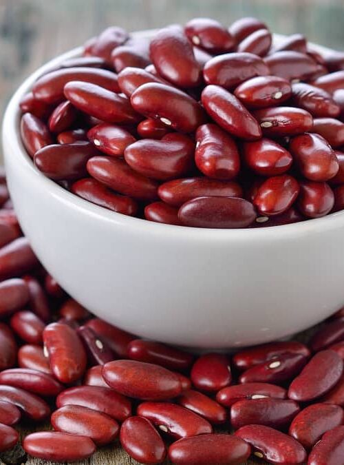 Haricots rouges 1Kg AB Meyzieu